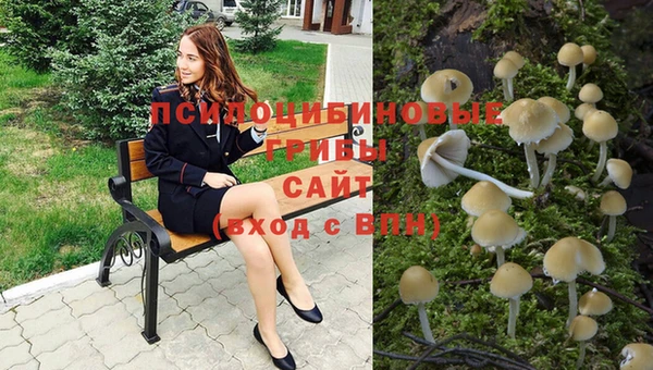 ешки Осинники