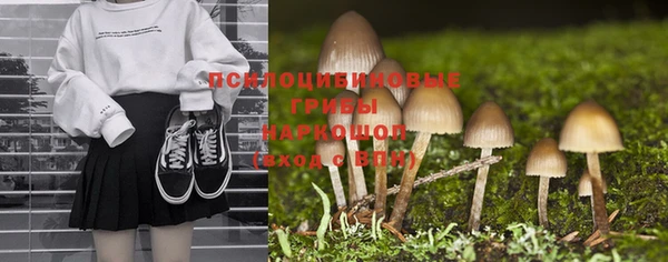ешки Осинники